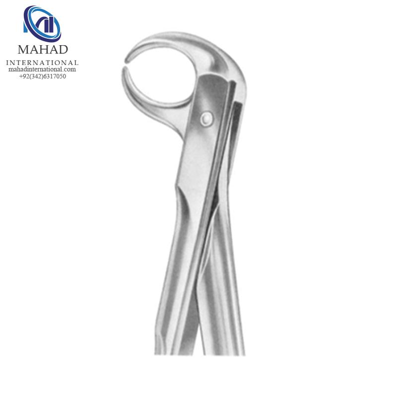Lower Molars